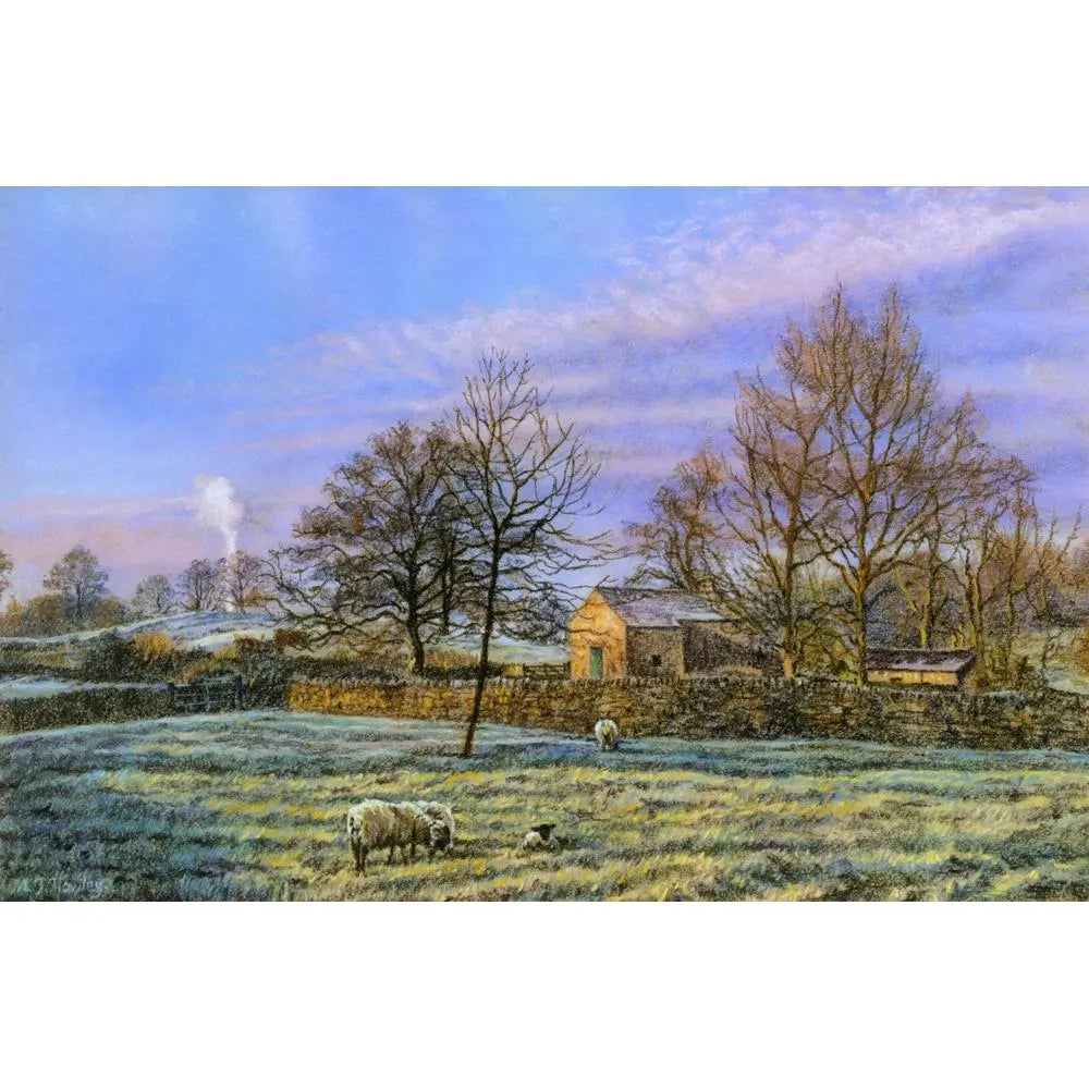 Early Morning Frost